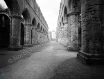 Fountains Abbey